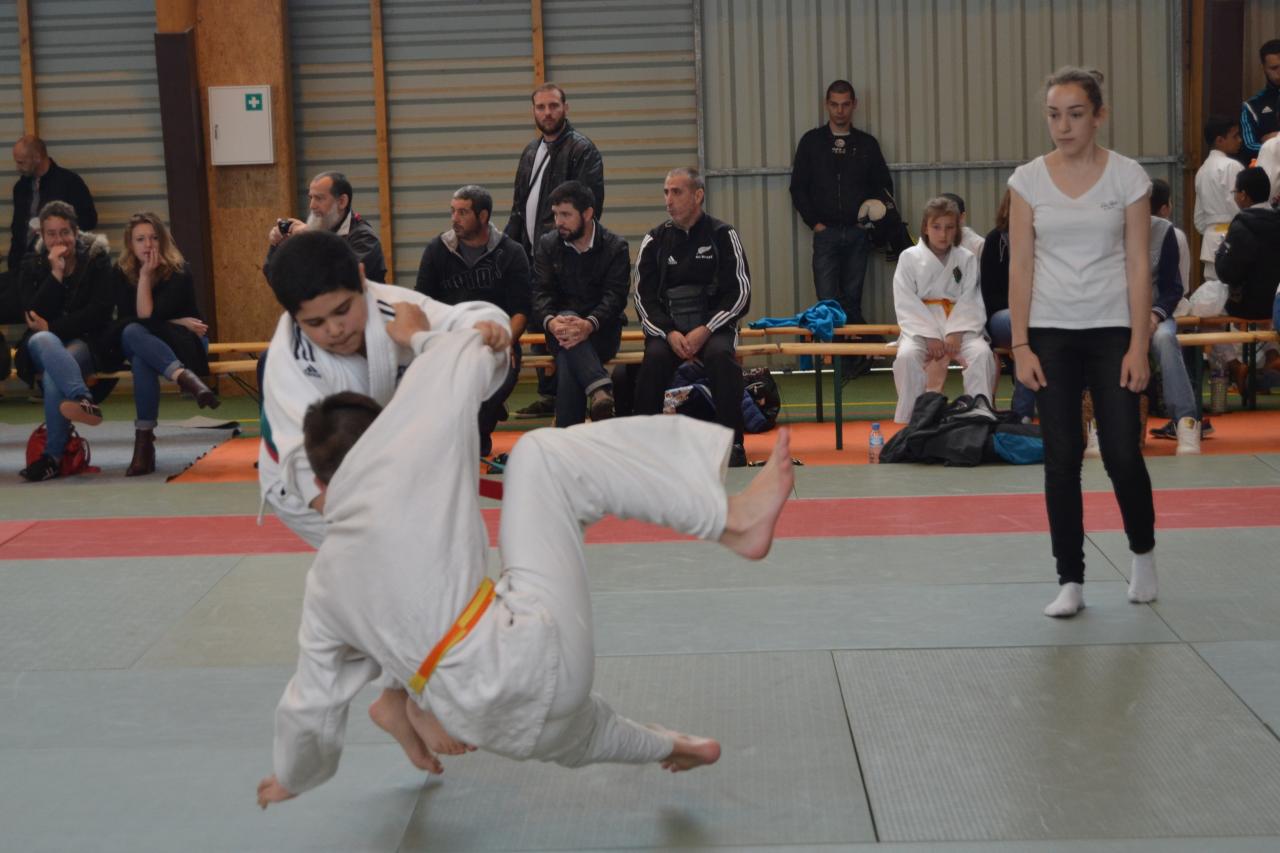 DSC_0441 bis