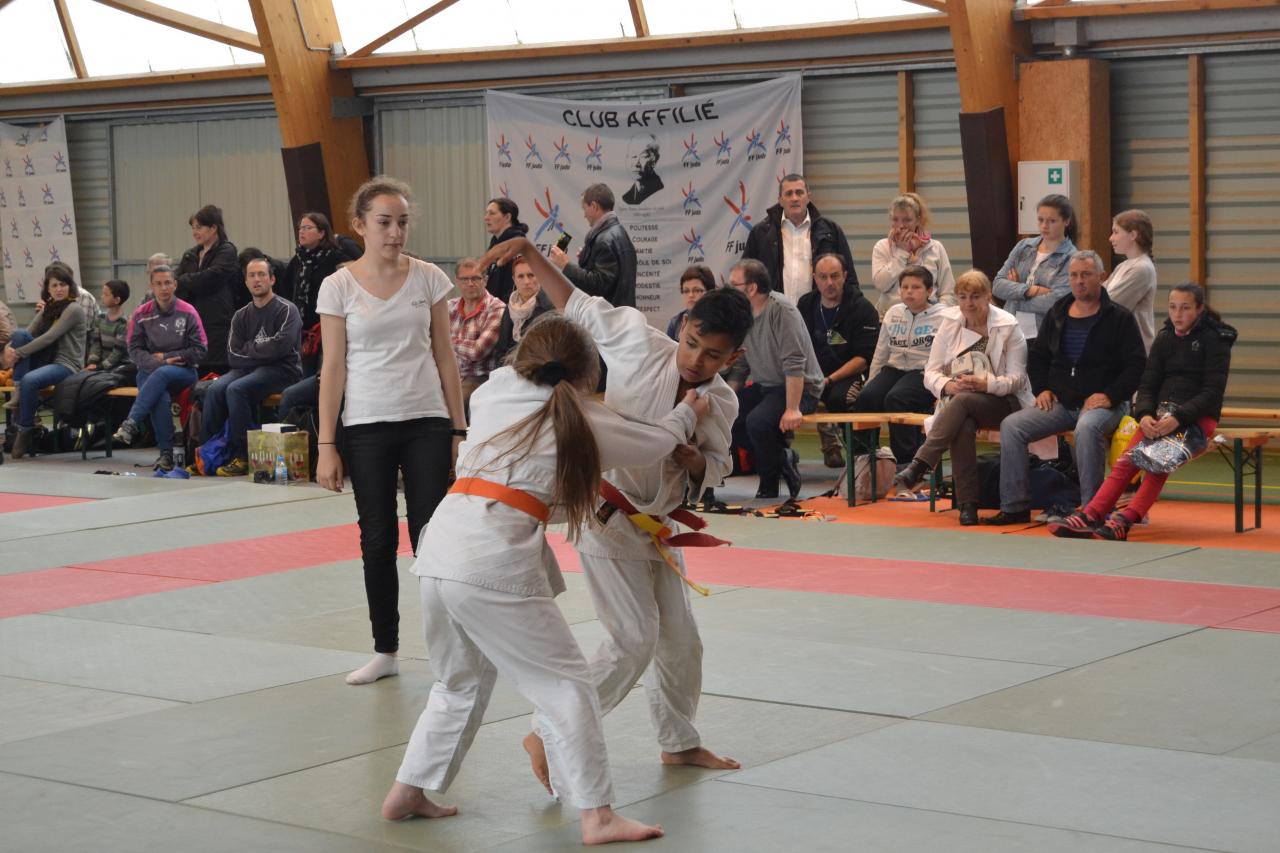 DSC_0482 bis